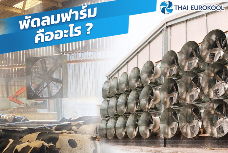 พัดลมฟาร์ม คืออะไร thaieurokool
