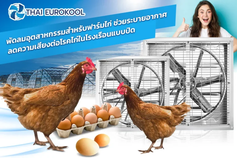 พัดลมอุตสาหกรรมสำหรับฟาร์มไก่: ช่วยระบายอากาศ ลดความเสี่ยงต่อโรคไก่ในโรงเรือนแบบปิด