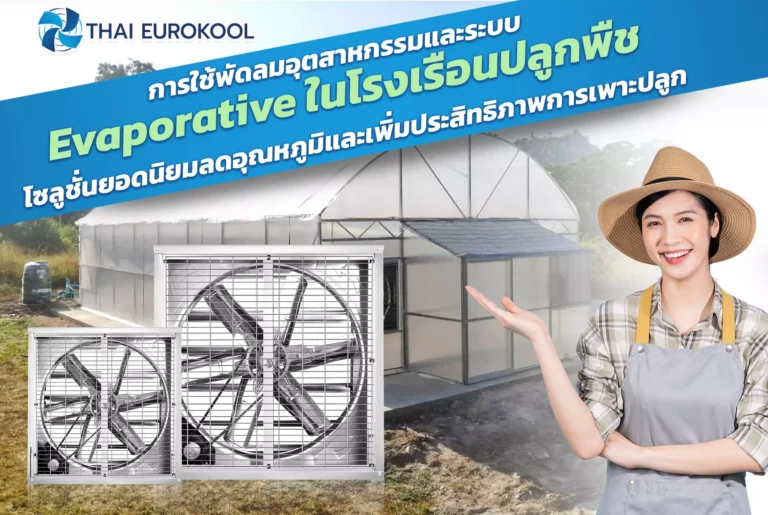 การใช้พัดลมอุตสาหกรรมและระบบ Evaporative ในโรงเรือนปลูกพืช