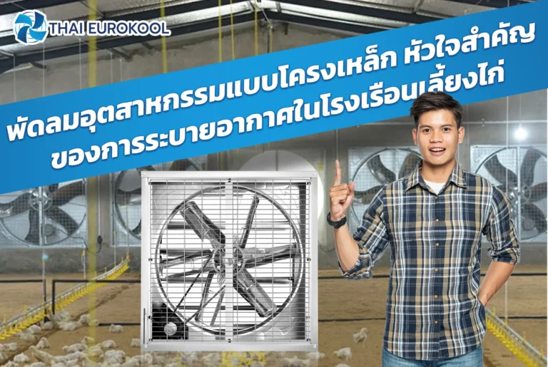 พัดลมอุตสาหกรรมแบบโครงเหล็ก หัวใจสำคัญของการระบายอากาศในโรงเรือนเลี้ยงไก่