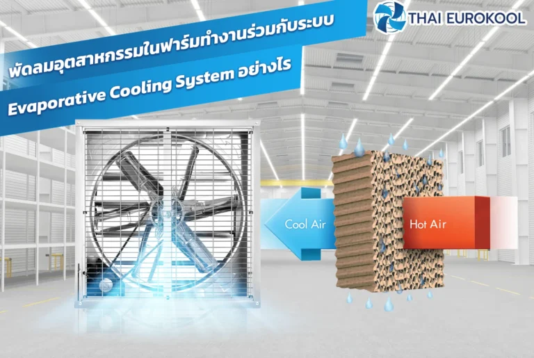 พัดลมอุตสาหกรรมในฟาร์มทำงานร่วมกับระบบ Evaporative Cooling System อย่างไร