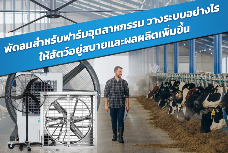 พัดลมสำหรับฟาร์มอุตสาหกรรม วางระบบอย่างไรให้สัตว์อยู่สบายและผลผลิตเพิ่มขึ้น