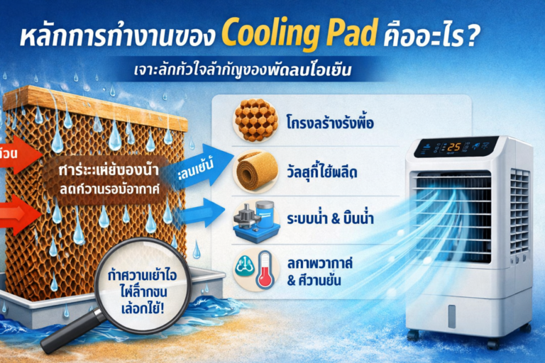 หลักการทำงานของ Cooling Pad คืออะไร เจาะลึกทุกมิติของหัวใจสำคัญในพัดลมไอเย็น