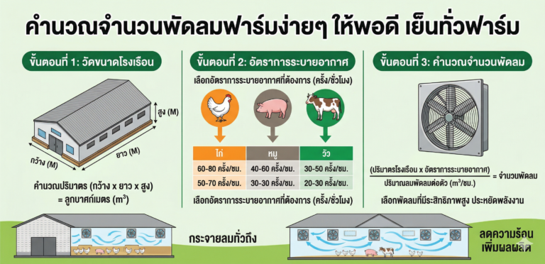 พัดลมฟาร์มใช้กี่ตัวต่อพื้นที่ คำนวณง่ายๆ ให้พอดี เย็นทั่วฟาร์ม ลดต้นทุนได้จริง