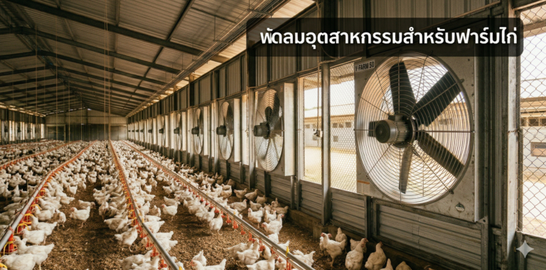 พัดลมอุตสาหกรรมสำหรับฟาร์มไก่