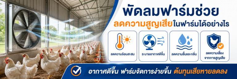 พัดลมฟาร์มช่วยลดความสูญเสียในฟาร์มได้อย่างไร